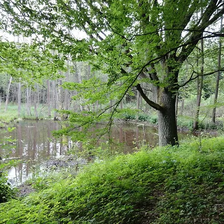 Homestay Zagroda Cztery Wiatry Sadry