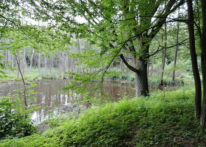 Homestay Zagroda Cztery Wiatry Sadry